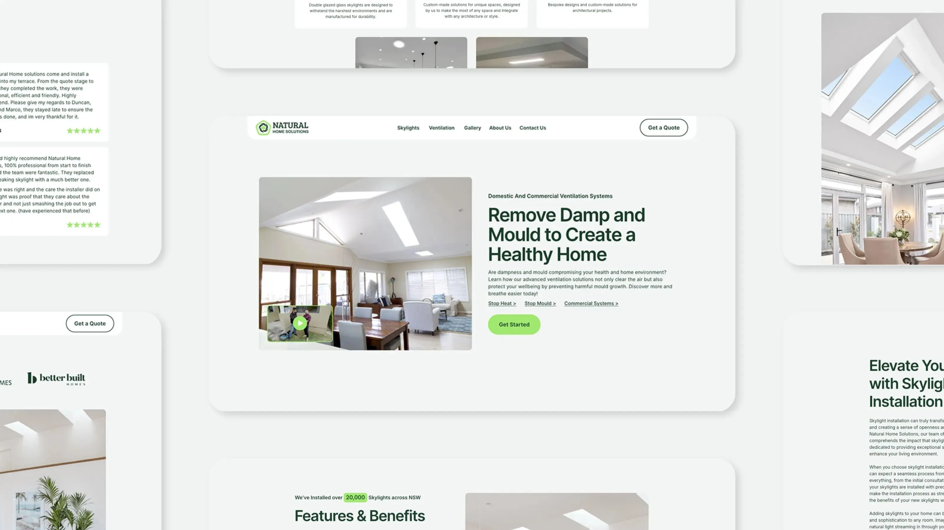 Natural Home Solutions page on removing damp and mould, flanked by skylight installation sections