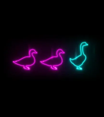 Duck Duck Goose logo drawn as three neon birds, two pink ducks and a teal goose, on black